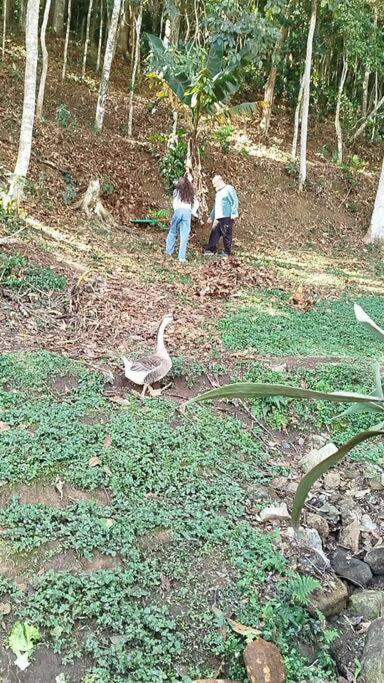 Вилла Chale Da Montanha Petropolis Экстерьер фото