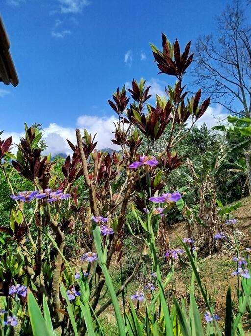 Вилла Chale Da Montanha Petropolis Экстерьер фото